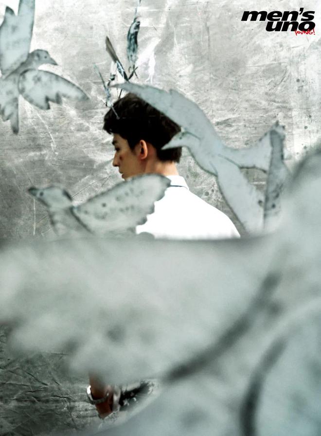 少年心性，年少之生肖与人生哲理的微妙交织