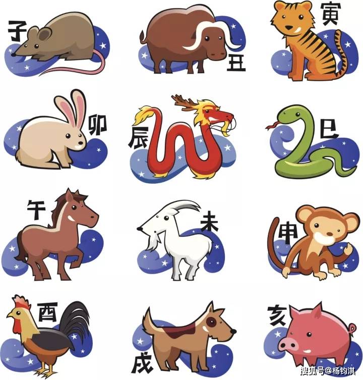 解密丢眉弄色背后的生肖玄机，一场文化与智慧的奇妙之旅