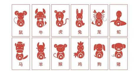 后年属什么生肖，喜欢作答落实解释