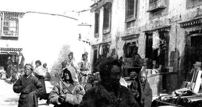 落花媒人，一场误导解释的落实与反思