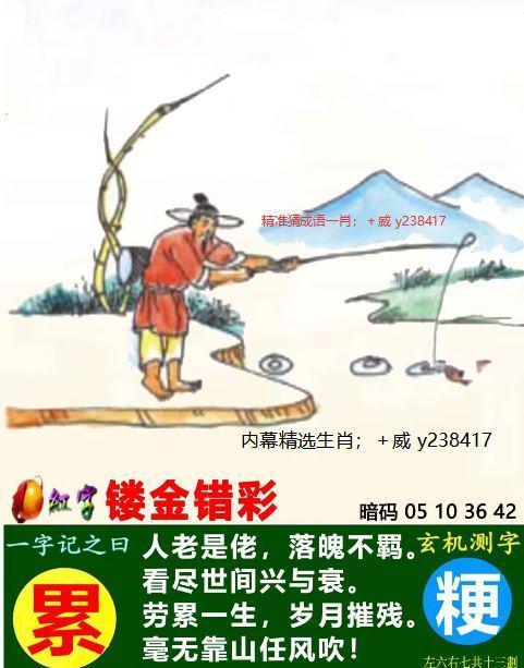 鸡头鸡尾的生肖之谜,解析与文化寓意 鸡头鸡尾的生肖之谜,解析与文化寓意