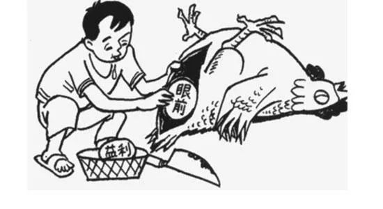 杀鸡取卵,生肖寓言与和谐共舞的智慧 杀鸡取卵,生肖寓言与和谐共舞的智慧