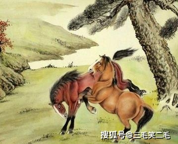 奴颜婢膝是指什么生肖，正确解释与落实