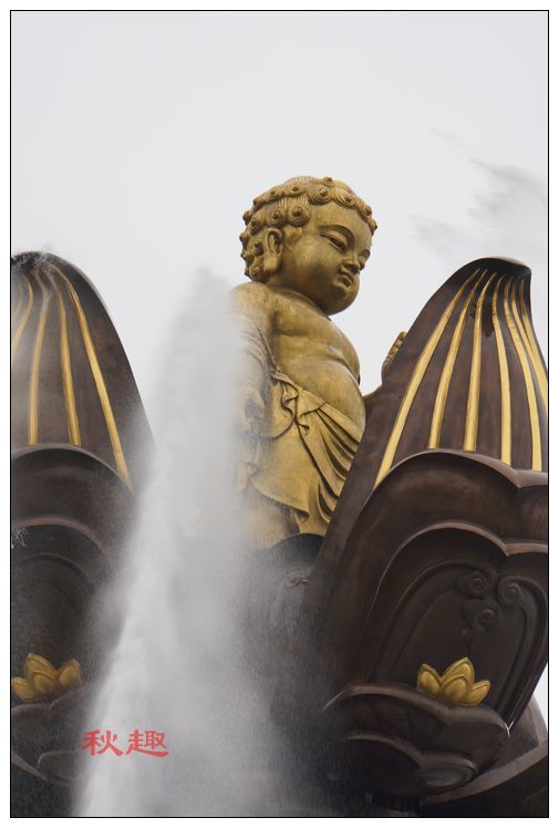 人杰地灵与生肖之谜，探寻文化中的智慧之光