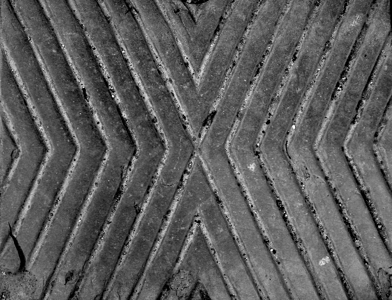 横七竖八，揭秘与生肖动物的奇妙联系