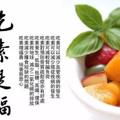 一身清白善食素—探寻白兔的智慧与启示