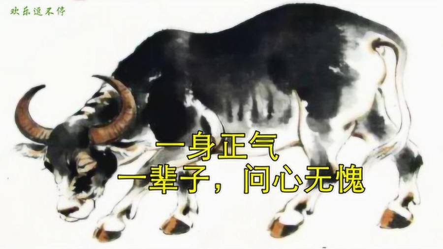 一身正气打一生肖,最新解释与落实 一身正气打一生肖,最新解释与落实