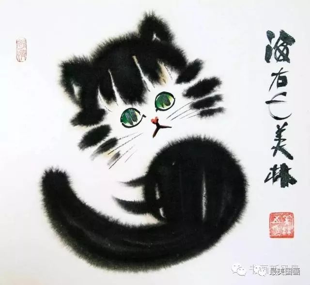 揭秘天字一发六可定的动物谜底，实证、解释与落实