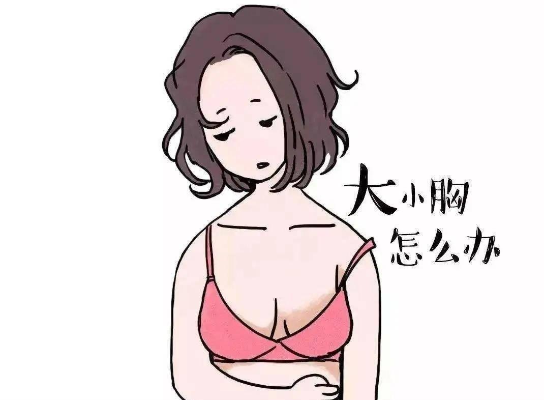 全局在胸，精准解析全局在胸猜一生肖的绝佳解释