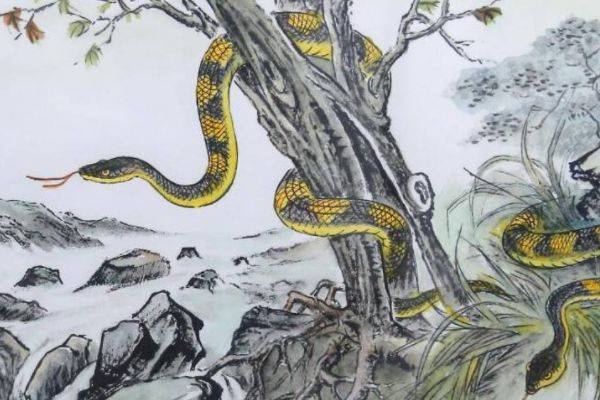 一统江山定乾坤打一正确生肖，佩服作答落实解释