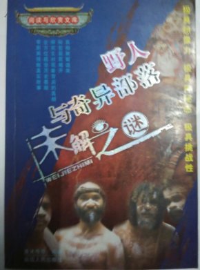 人杰地灵与生肖之谜，探寻文化中的智慧之光