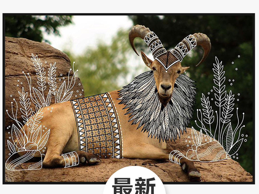 遇事生风墙头草猜一动物，深度解析与文化寓意