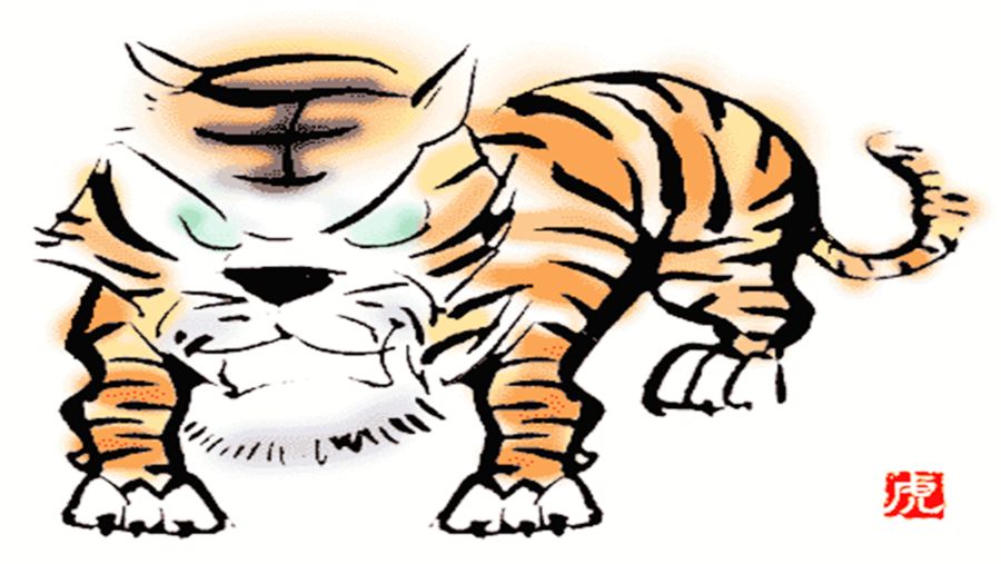 穷的生肖，全面解析与现实应对策略