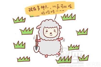 川流不息，猜一最佳生肖与积极解释落实的智慧