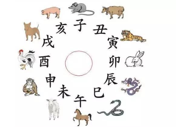 五行与生肖的神秘对应，解读古老智慧中的奥秘