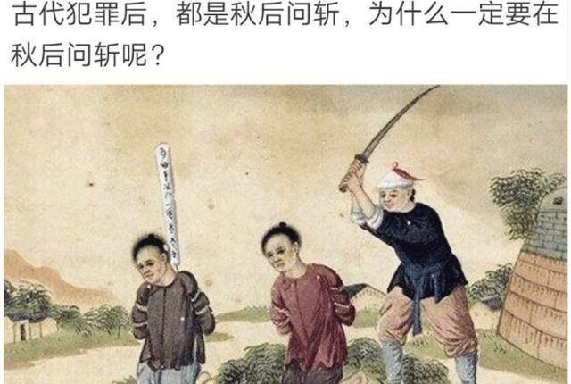 醉翁之意是指什么生肖，结论作答落实解释