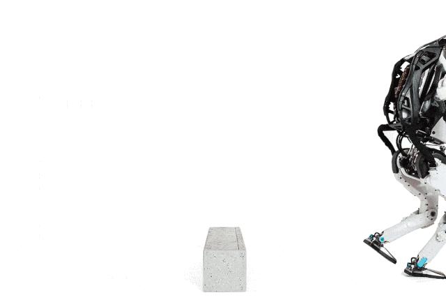 跋山涉水猜一动物，积极解释与落实的智慧之旅