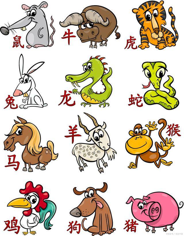 十二生肖中的无情的动物，蛇的绝佳解释