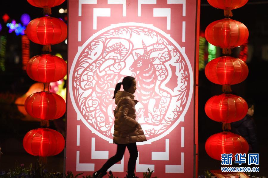 解析元宵与生肖的奇妙联系，传统文化的独特魅力