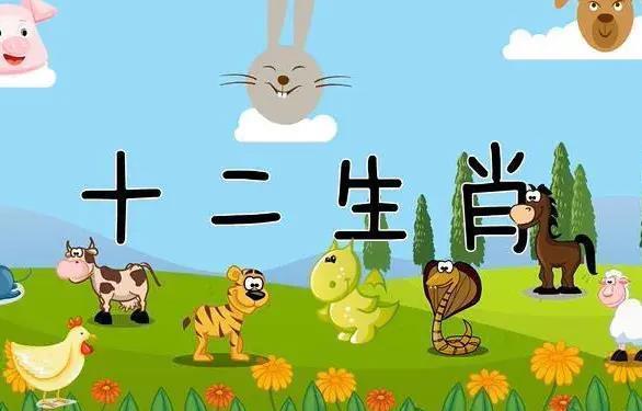 断断续续指的是什么生肖，正确解释与落实