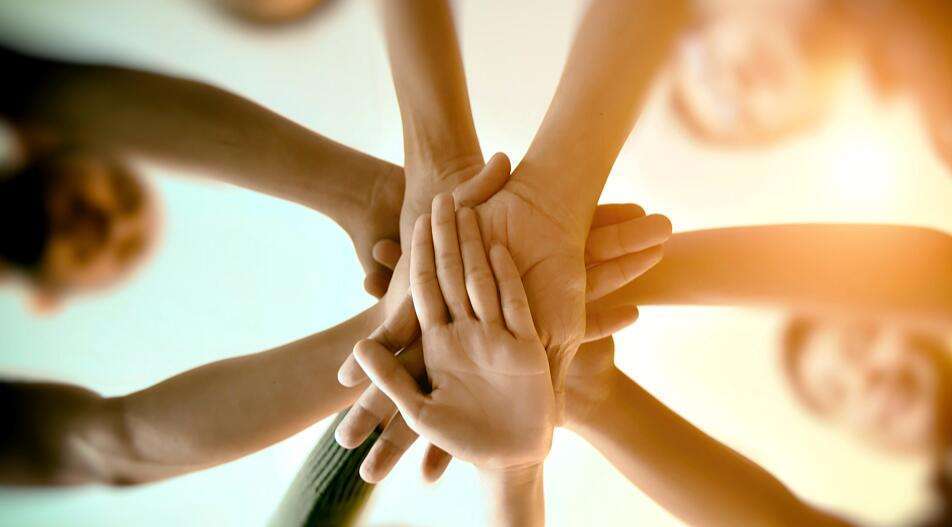 树大招风与生肖之谜，团结的力量