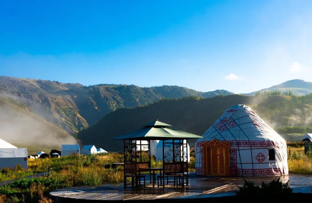 扫把与生肖的神秘联系，一场民俗智慧的趣味探索