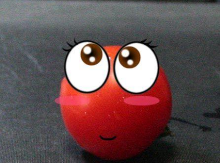 西红柿代表什么生肖，发现作答落实解释