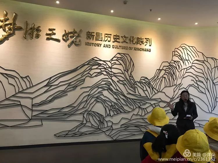 莲藕与生肖的和谐共舞，探寻传统文化的深层寓意