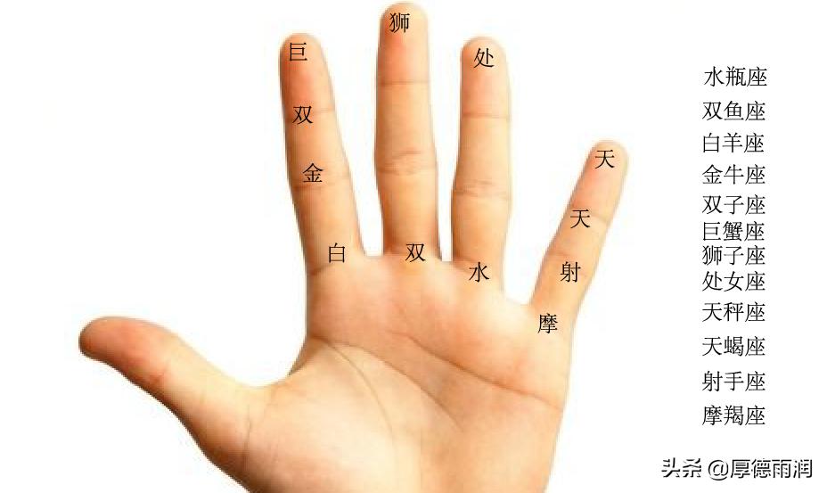 甲乙生肖之谜，探寻传统文化的智慧与趣味