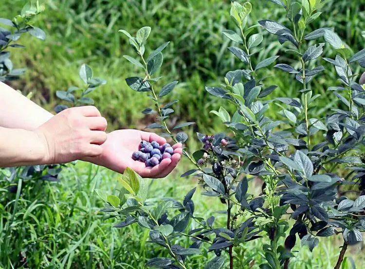 男女平权与犇的寓意，共赴平等之约的生动诠释