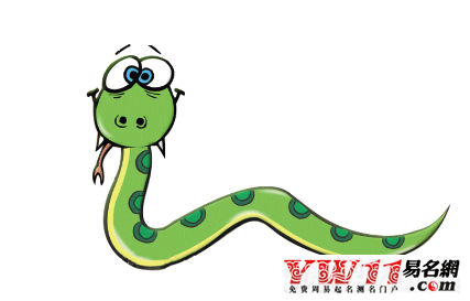 蛇与什么生肖最配，全面揭晓与解析