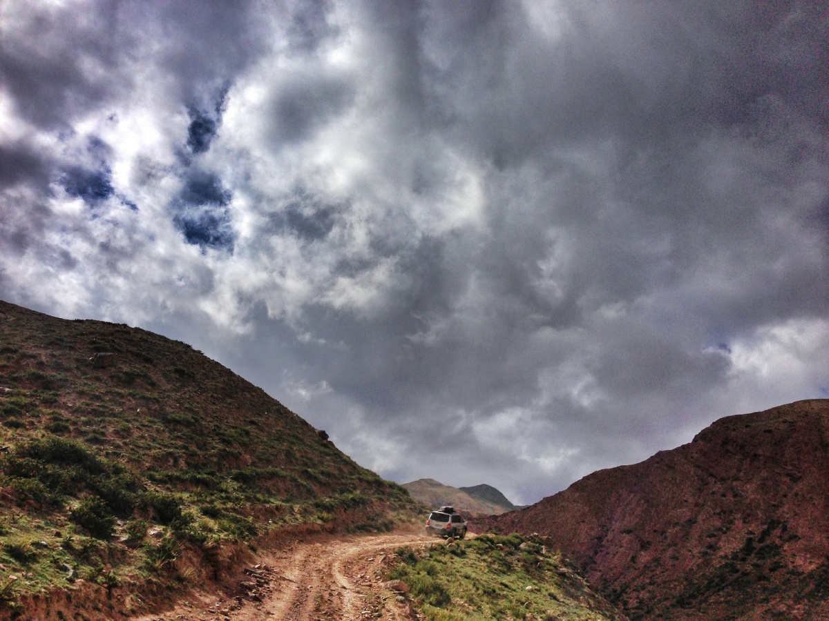 翻山越岭，生肖中的坚韧与勇气—以虎为例