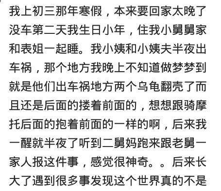 网络释义下的天长地久与猜一动物的奇妙联结