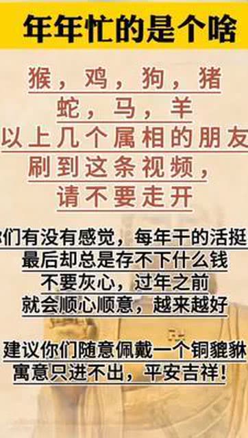 蒋勤勤属相之谜，生肖背后的文化奥秘与个人解读
