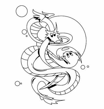 探头探脑猜一生肖，深度解析与落实