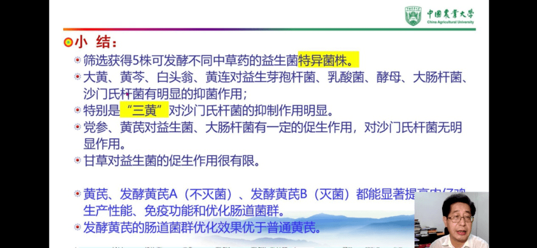 倾巢而出猜一生肖，创造作答落实解释