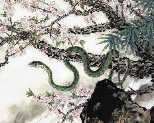 草木逢春是是指什么生肖，真相解释落实