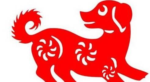 相亲相爱的是什么生肖，深度解析与文化寓意