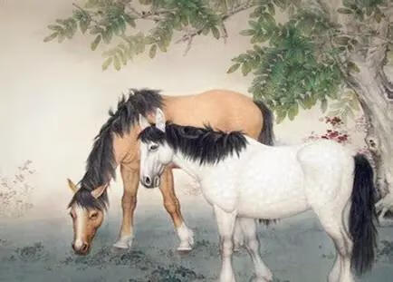 男马配什么生肖最好,生肖之谜与人生哲理的深度解析 男马配什么生肖最好,生肖之谜与人生哲理的深度解析