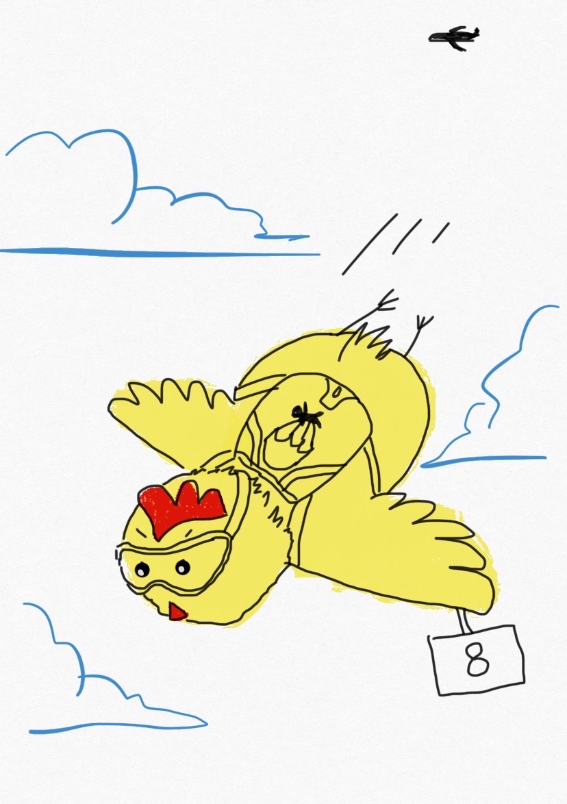 夯雀先飞猜一生肖，神秘解释落实