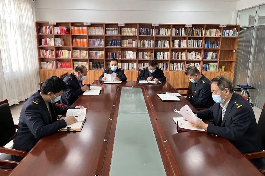 棕熊代表什么生肖，全面解析与落实