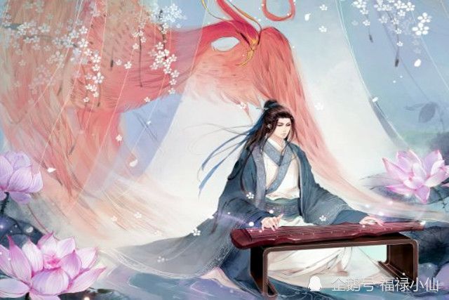 瓜田李下的生肖奥秘，一场关于智慧与谨慎的探索