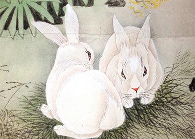 好色的生肖有哪些，正确解释与落实