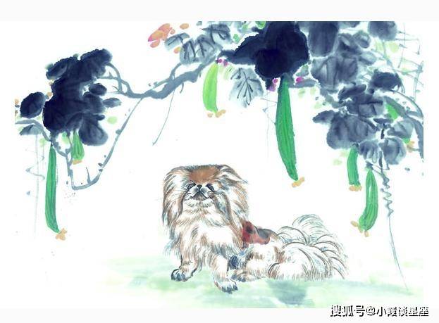 行善积德打一生肖，马上为你揭晓落实