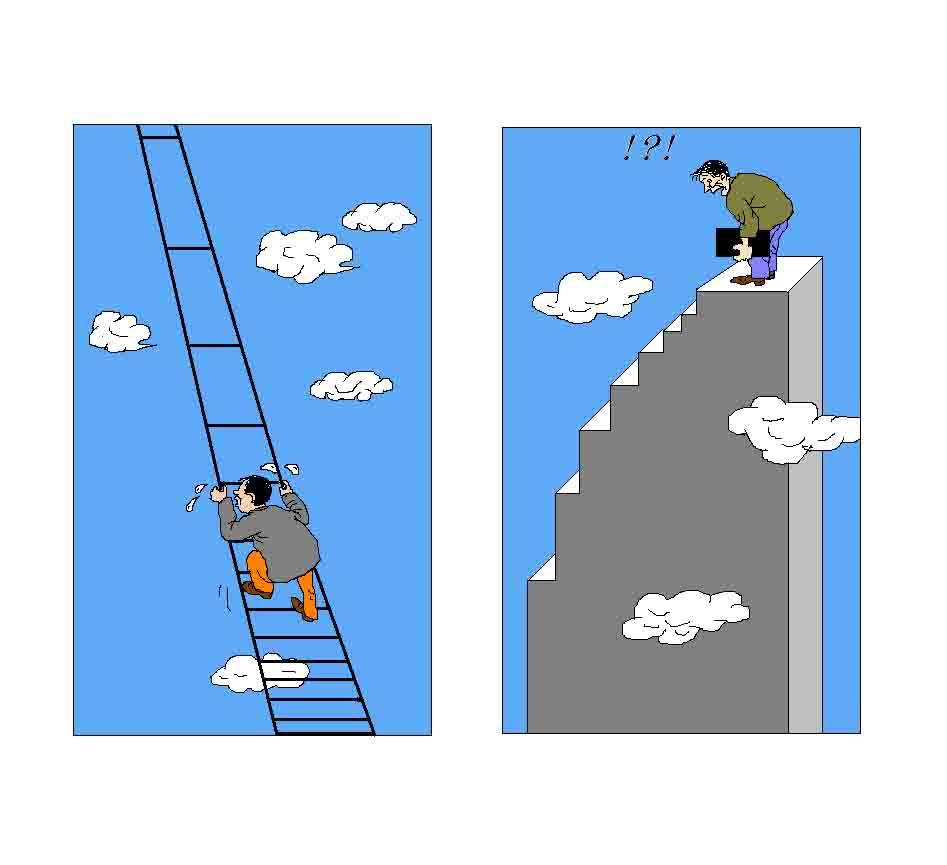 进退两难，生肖之谜的深层文化解读