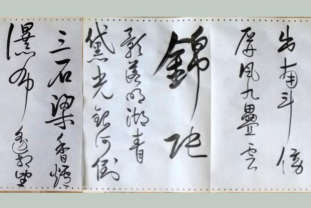 银河倒挂三石梁猜一动物，热议作答落实解释