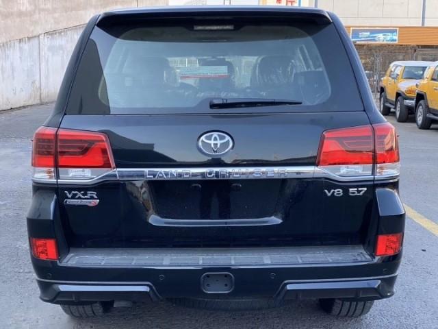 兵贵神速猜一动物?的温馨解析与文化解答