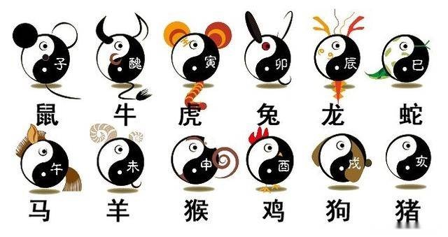 揭秘白板天子与生肖之谜，一场智慧与文化的深度探索