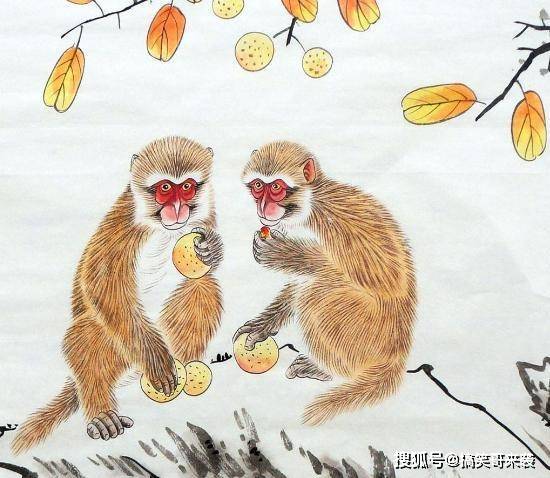 老鼠与猴子生肖配对，民间智慧与科学解读