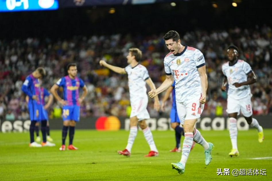 花儿与生肖的奇妙对应—绝佳解释落实